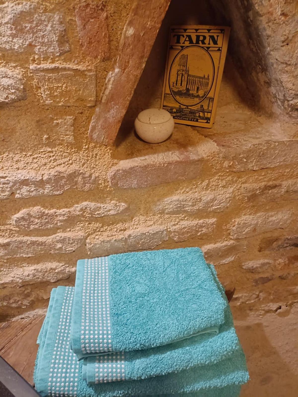 La Lauze Et L'Anguille Gaillac Exterior foto